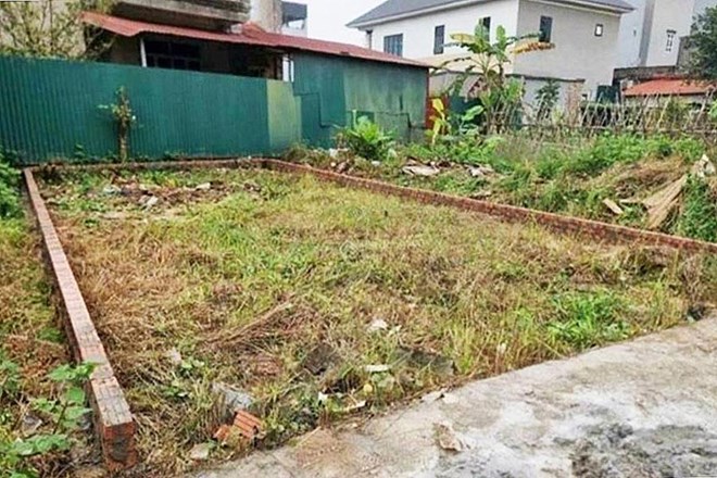 Land plot prices in Dong Anh commune (Hanoi) are being offered for sale at a high level. Photo: Thu Giang