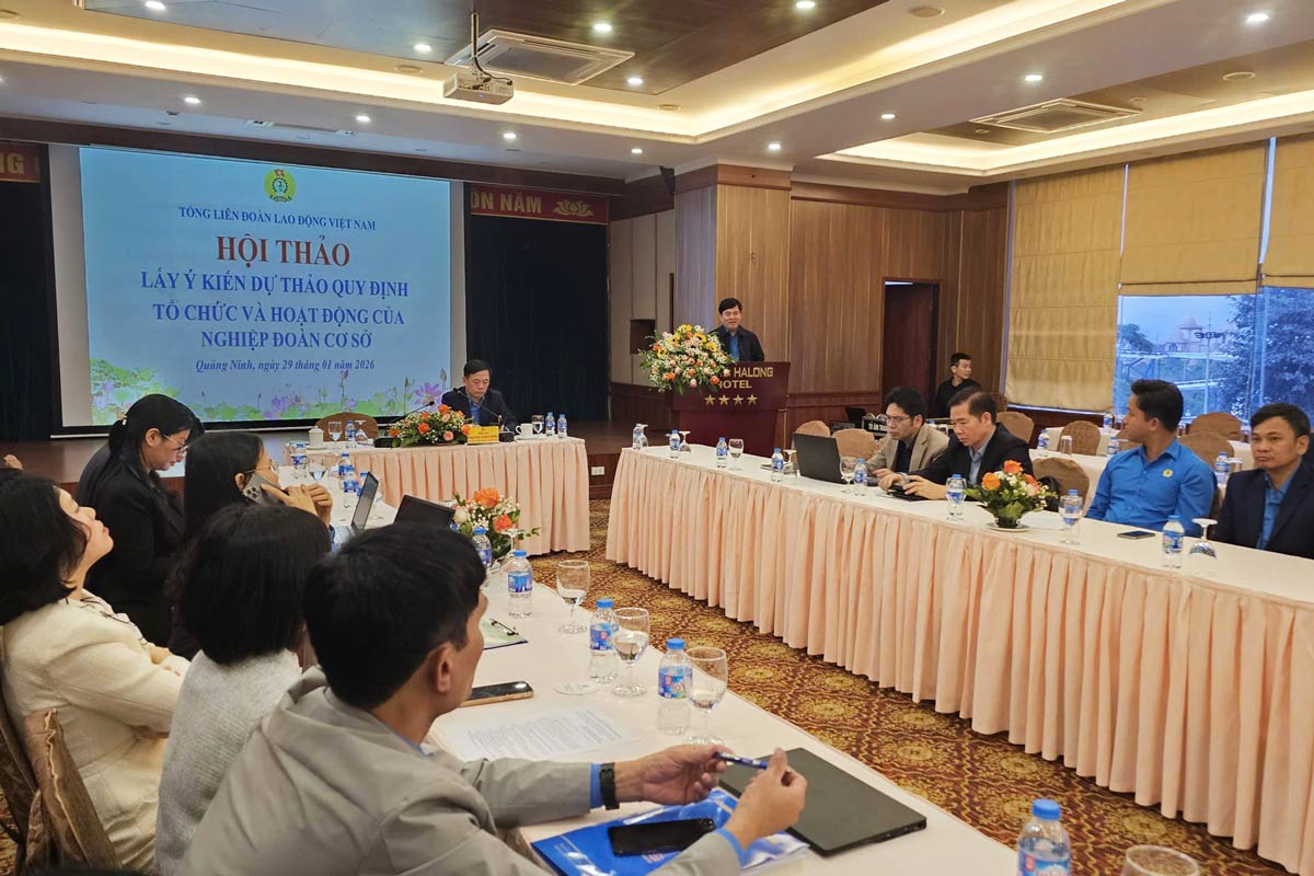 Quang cảnh hội nghị. Ảnh: Đoàn Hưng