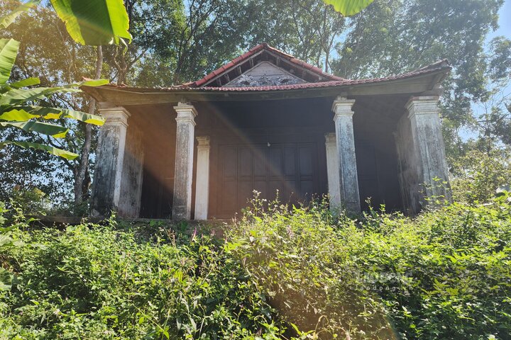 Đình Vực Trường là di tích cấp tỉnh. Ảnh: Tô Công.