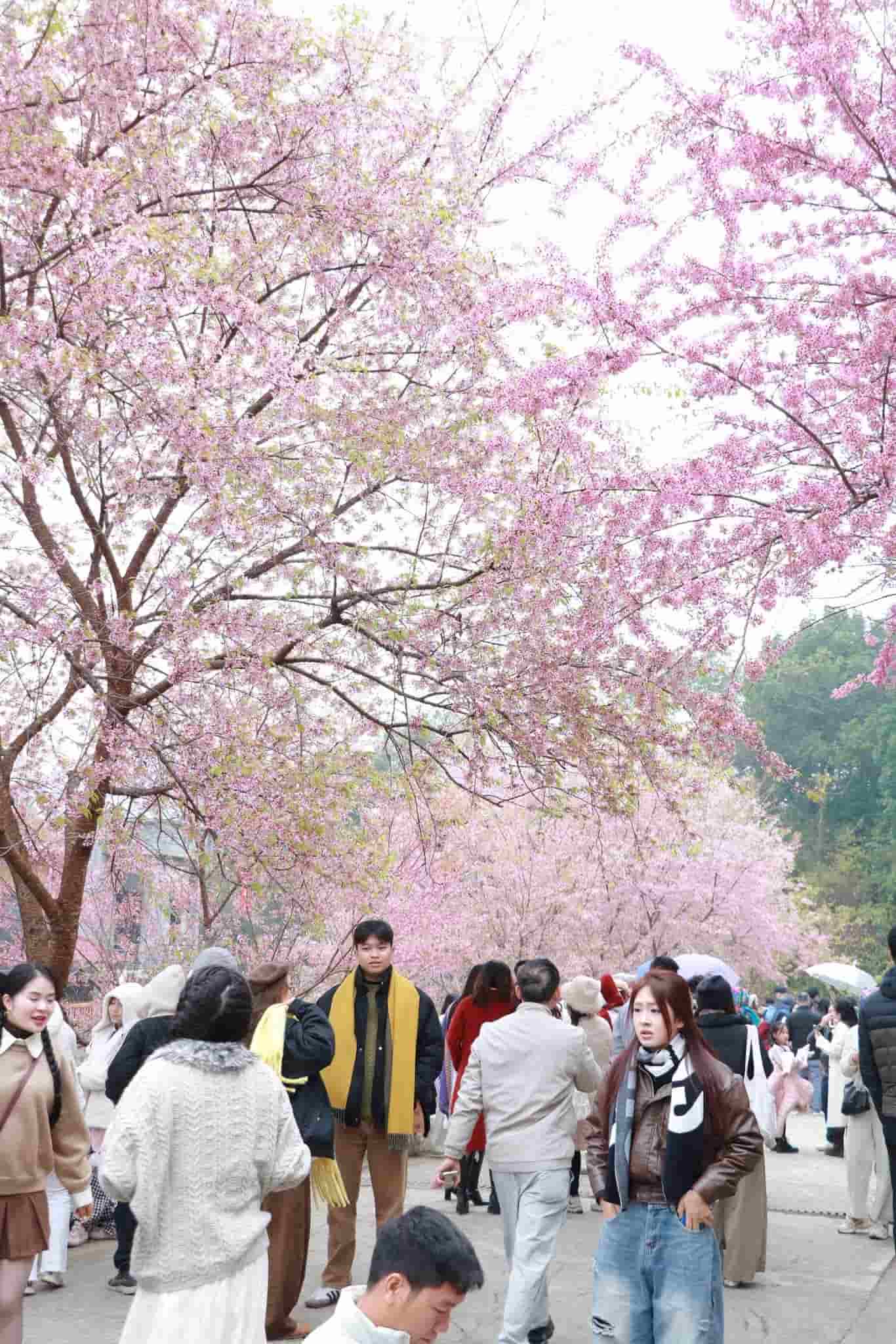 Nhieu hoat dong hap dan thu hut du khach dip nay. Anh: Van Duc