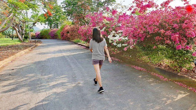 Maintaining regular and proper exercise habits helps each family maintain their health. Photo: Huong Son