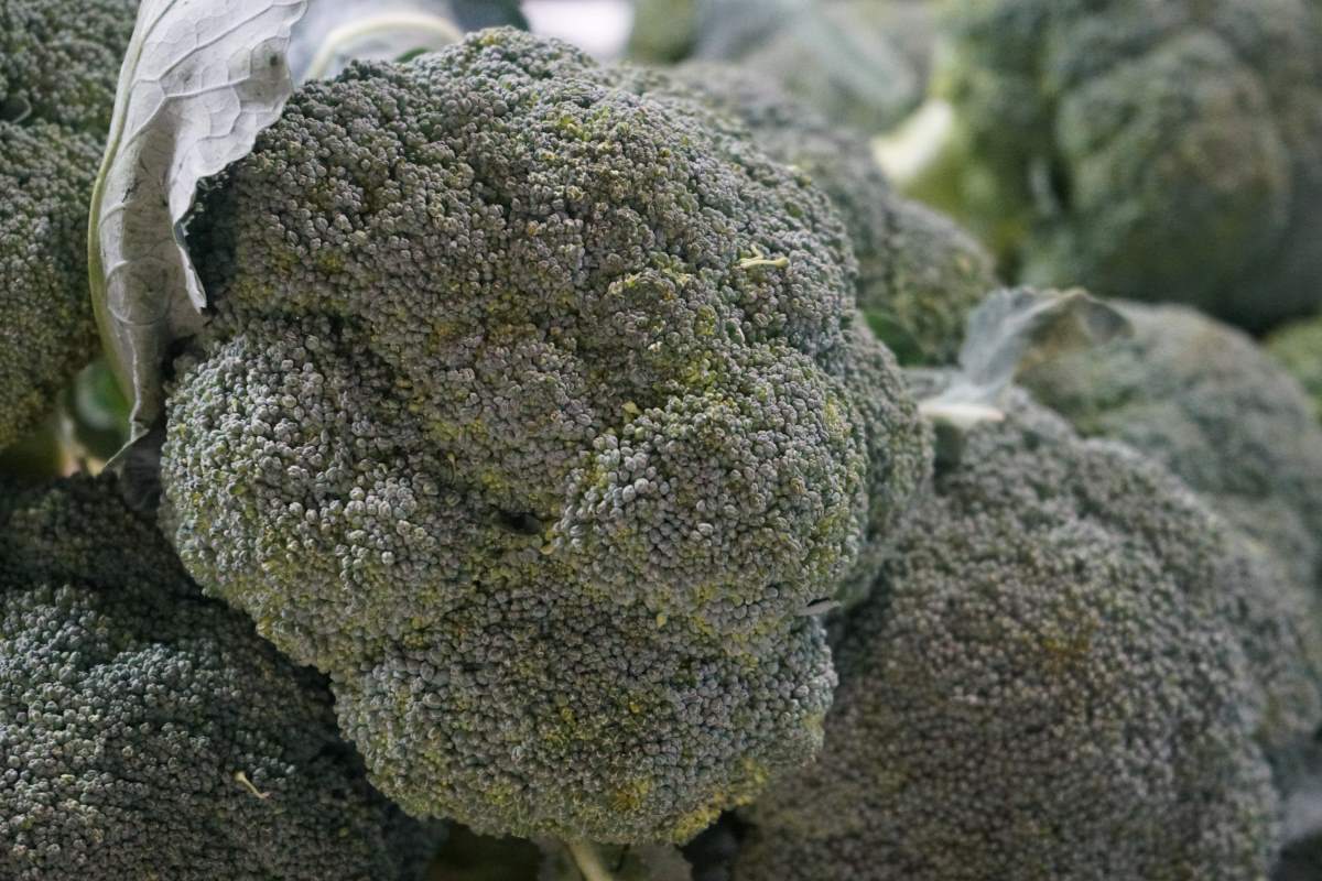 Broccoli is a fiber-rich vegetable that should be added to the diet to improve digestive system health. Photo: Thanh Thanh