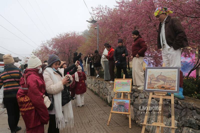 Tourists admire cherry blossoms in Lung Cu. Photo: Viet Anh