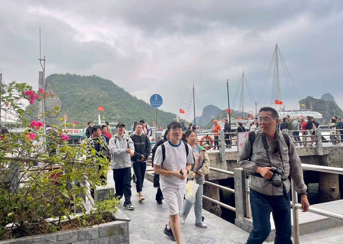 クアンニン省ハロン湾を訪れる観光客。写真:ハロン湾 - イエンツー世界遺産管理委員会