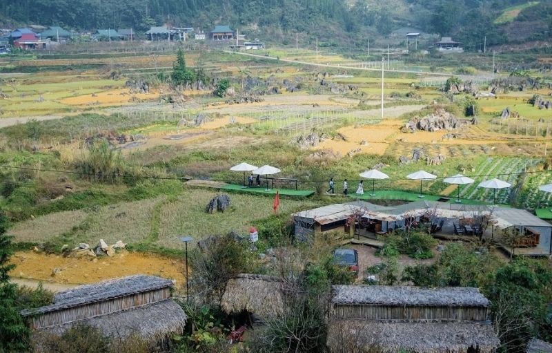 Du lich trai nghiem tai