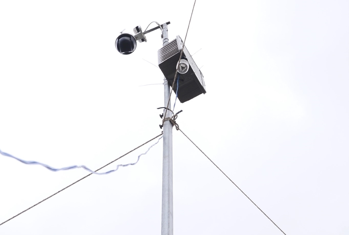 Camera giam sat vuon thanh long. Anh: Duy Tuan