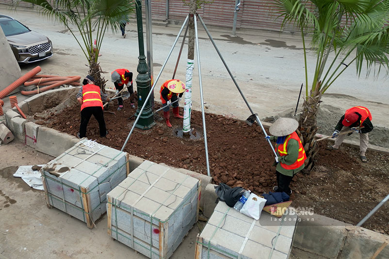 Cong nhan trong cay xanh doc tuyen duong Vanh dai 2,5.