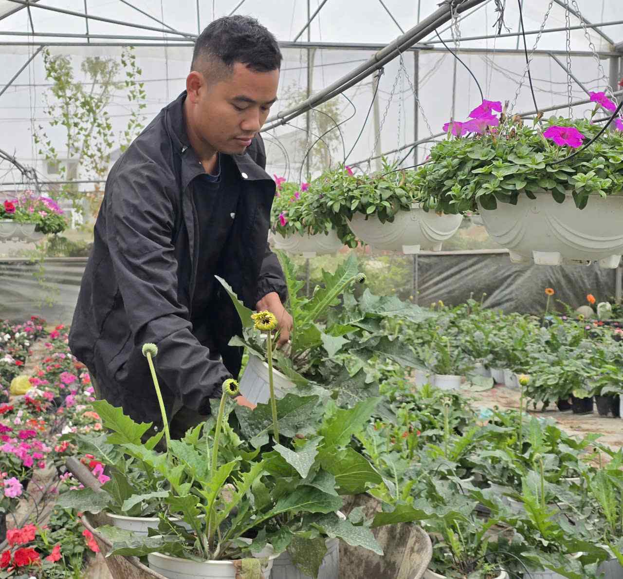 Nhung chau hoa dong tien cua gia dinh anh Anh: Dieu Anh