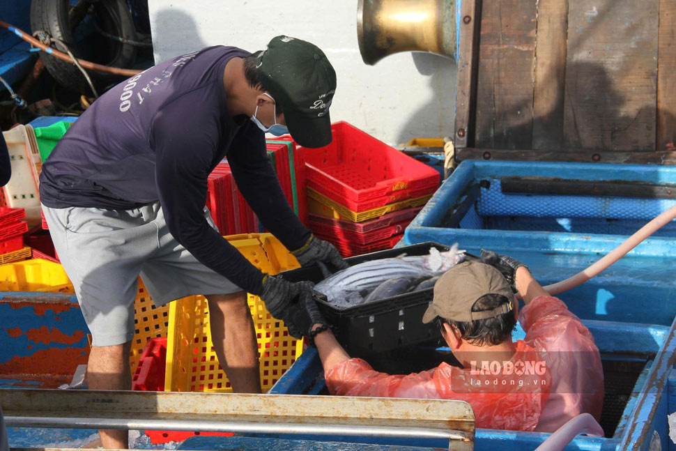 Nhung ket ca day ap duoc dua ra khoang