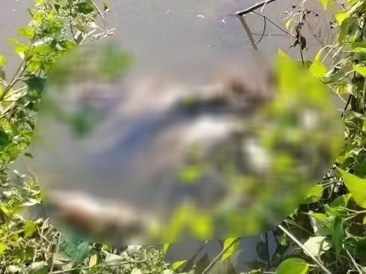 Hiện trường phát hiện nữ sinh bị sát hại tại xã Phú Tân, Cà Mau. Ảnh: Công an cung cấp