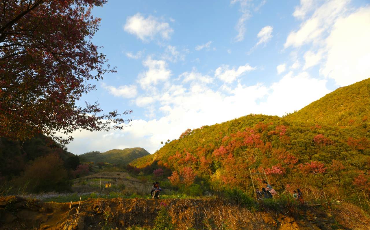 Le hoi hoa To Day va Festival Khen Mong la san pham du lich dac trung cua xa vung cao Mu Cang Chai. Anh: Van Duc