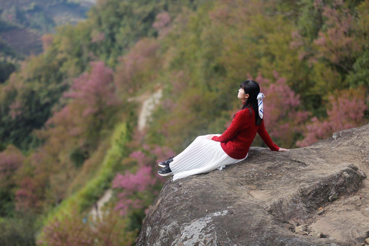 Hang van du khach den Mu Cang Chai dip dau xuan de chiem nguong ve dep hoa To Day. Anh: Van Duc