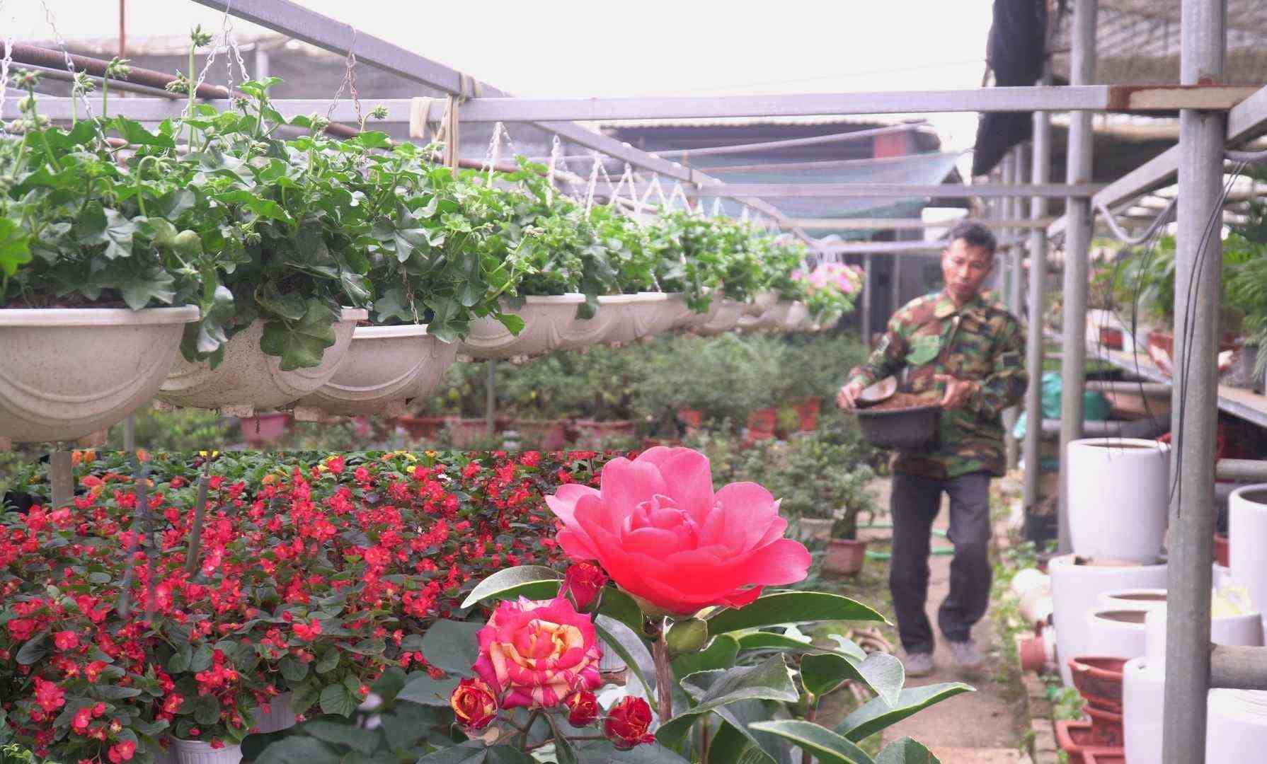 50,000 trees per year and the story of changing lives thanks to green tourism.