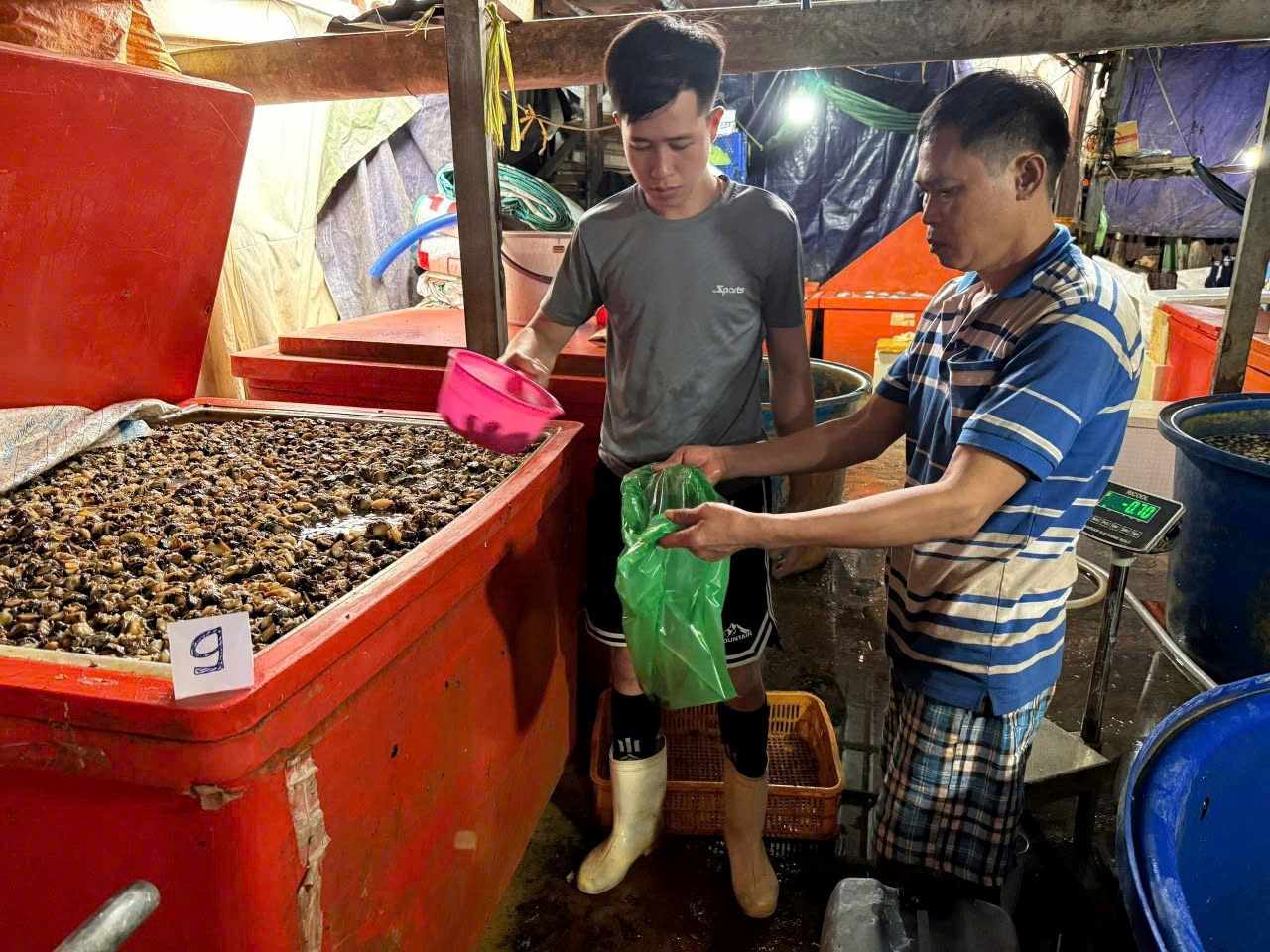 Hàng tấn thịt ốc bươu đã qua sơ chế, toàn bộ được ngâm trong dung dịch hóa chất Natri Silicate. Ảnh: Công an cung cấp