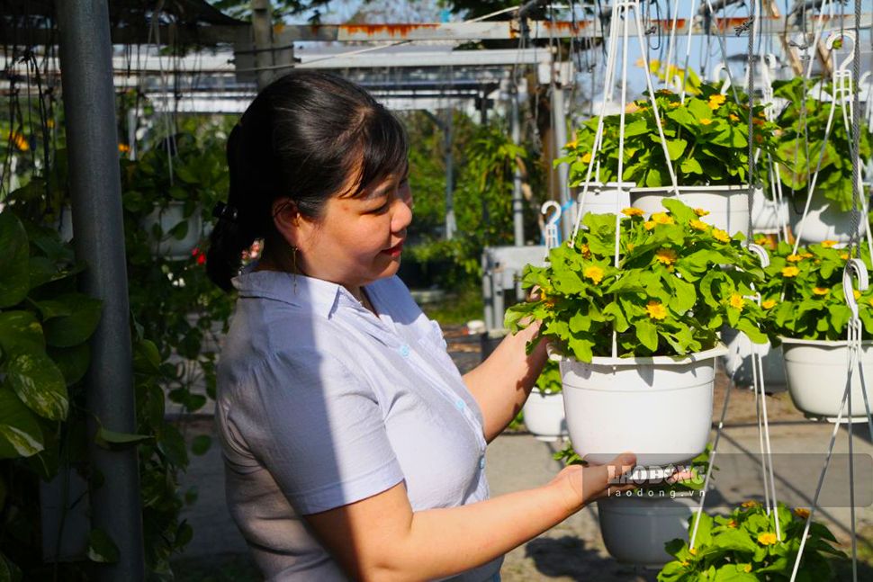 Người dân chọn mua những loại hoa treo nhỏ, dễ chăm sóc. Ảnh: Thanh Huyền