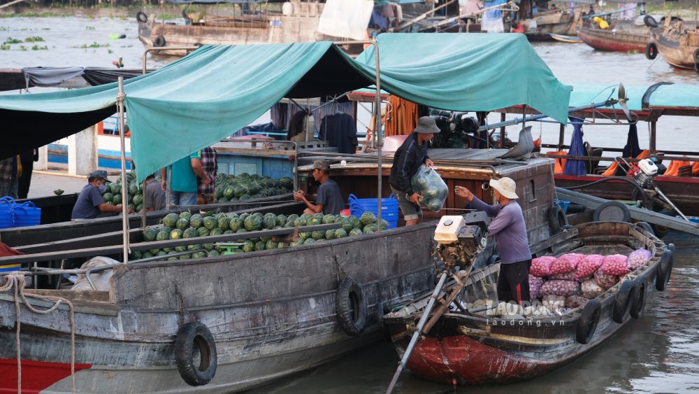 Chợ nổi Cái Răng ô nhiễm rác thải, loay hoay tìm lời giải