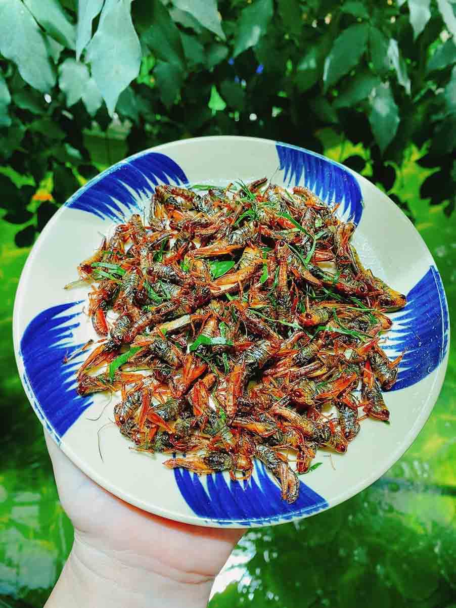 Món quà dân dã từ ruộng lúa bậc thang Pù Luông.