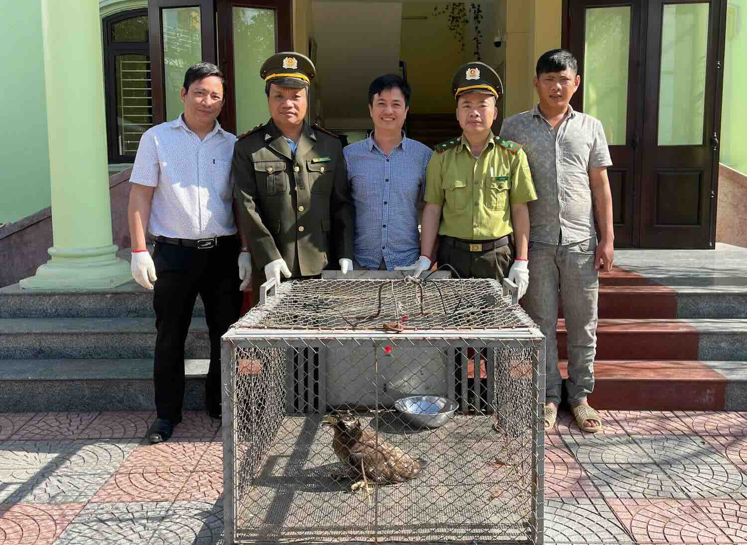 Los guardabosques piden y movilizan a la gente para que entregue para preservar especies animales raras y preciosas. Foto: Đ. Thành.