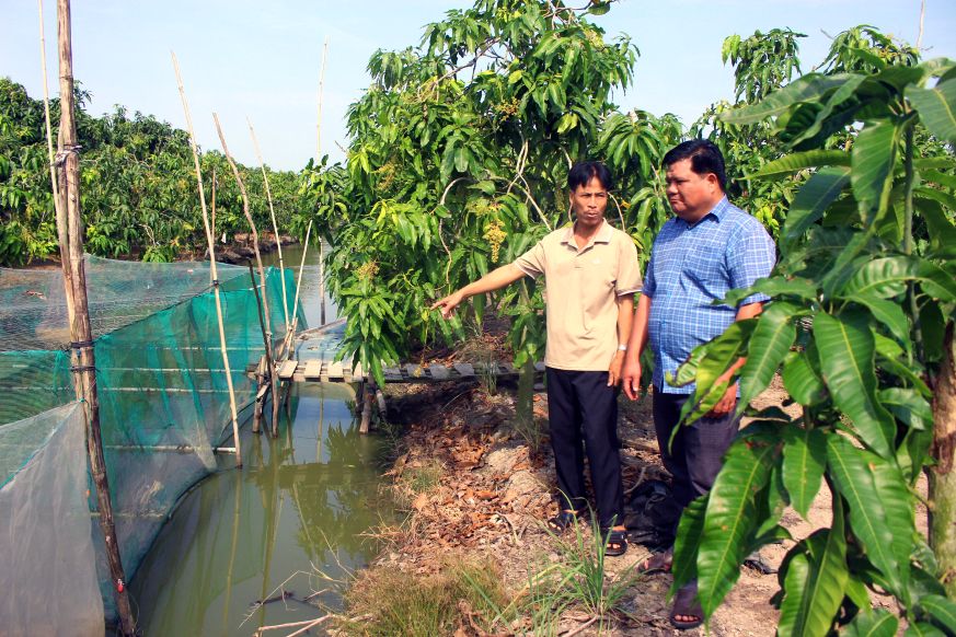 Ông Phan Thanh Phương  (phải ảnh) lắng nghe ông Nguyễn Văn Ở chia sẻ về mô hình đa tầng thu nhập. Ảnh: Thanh Mai