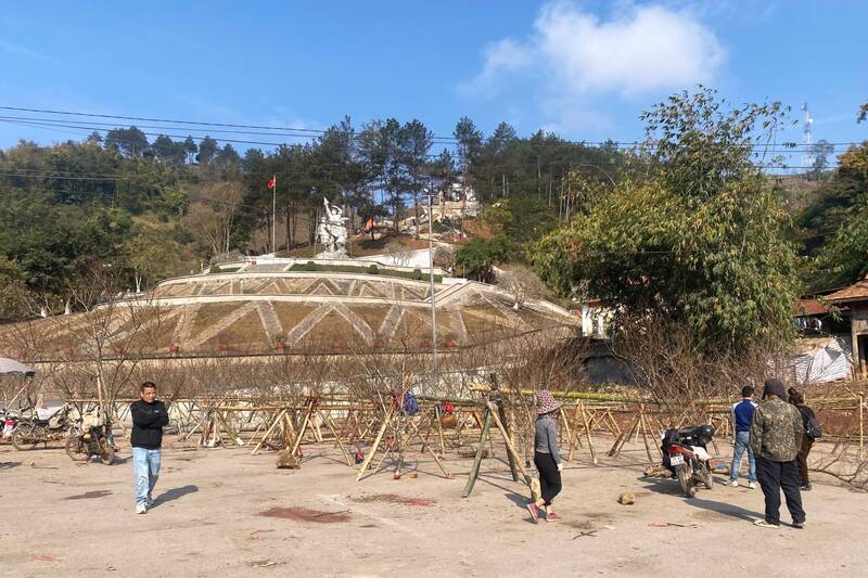 Các hộ bán đào ta Ngã ba Cò Nòi với số lượng khách mua ít hơn hẳn năm trước, chủ yếu là khách lẻ. Ảnh: Trường Sơn