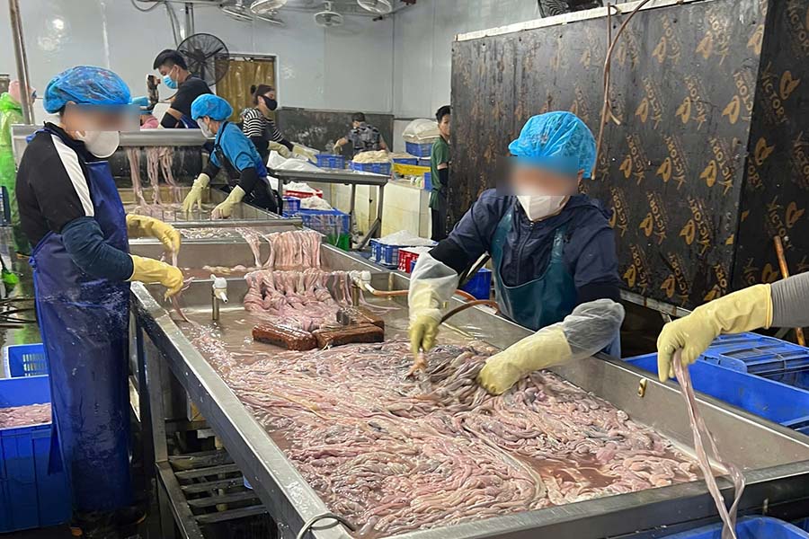 Close-up of the place where more than 60 tons of pig intestines of unknown origin were discovered in Hanoi