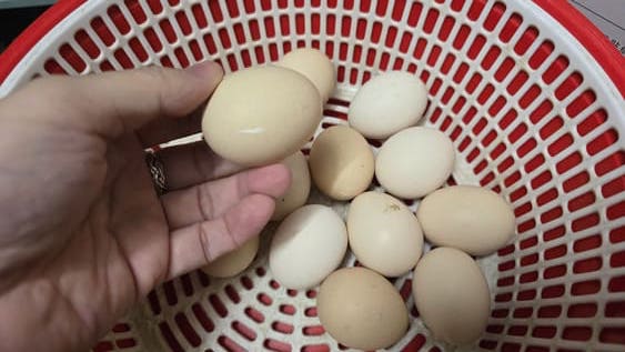 Storing chicken eggs properly will help keep them fresh for a long time and ensure nutrients. Photo: Tuan Dat