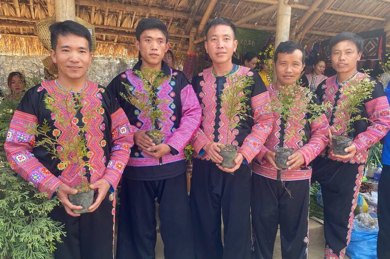 Hoạt động múa khèn H'Mông và giới thiệu cây bách xanh giống tại Phiên chợ. Ảnh: Trường Sơn