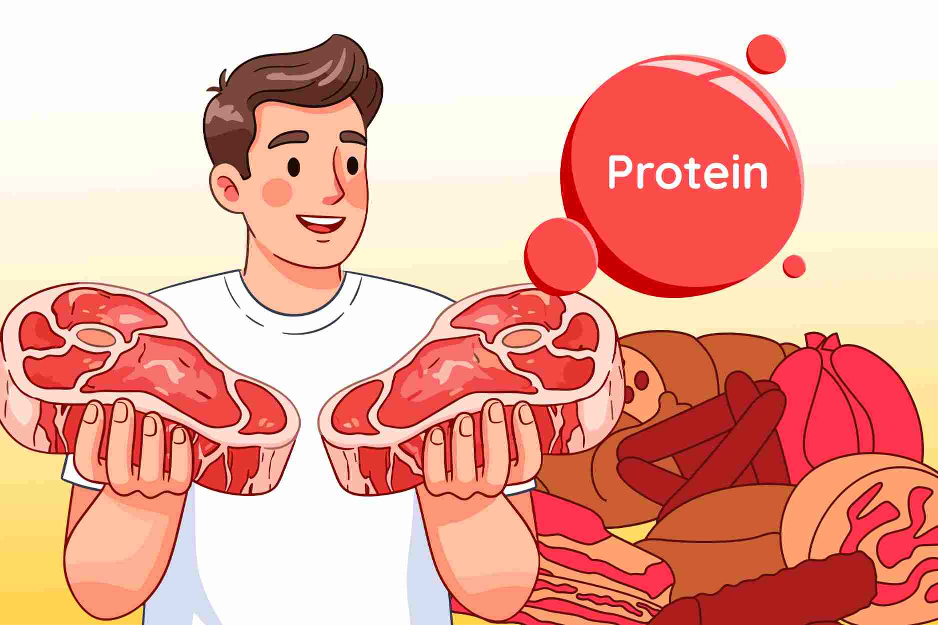 Meat groups that provide the highest protein content for the body