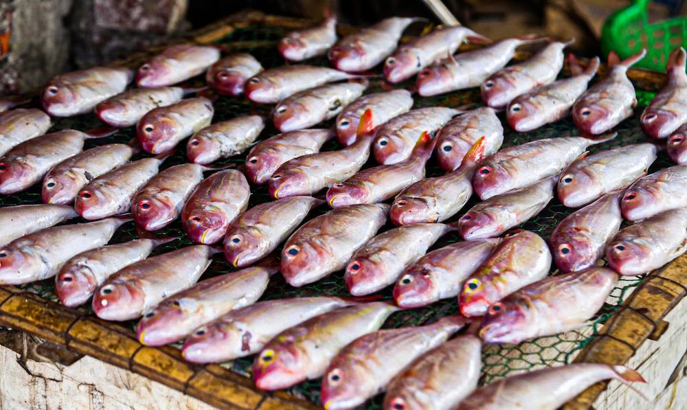 Những mẻ cá tươi được đưa lên bếp than nóng hổi.