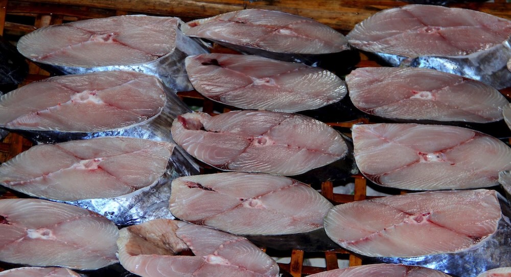 Cá được đánh bắt từ những ngư trường xa như Hoàng Sa, Trường Sa, Vịnh Bắc Bộ… Dịp cận Tết, giá cá thu nướng tăng nhẹ so với ngày thường. Cá loại 1 hiện dao động từ 250.000 – 300.000 đồng/kg, loại nhỏ hơn từ 180.000 – 200.000 đồng/kg.