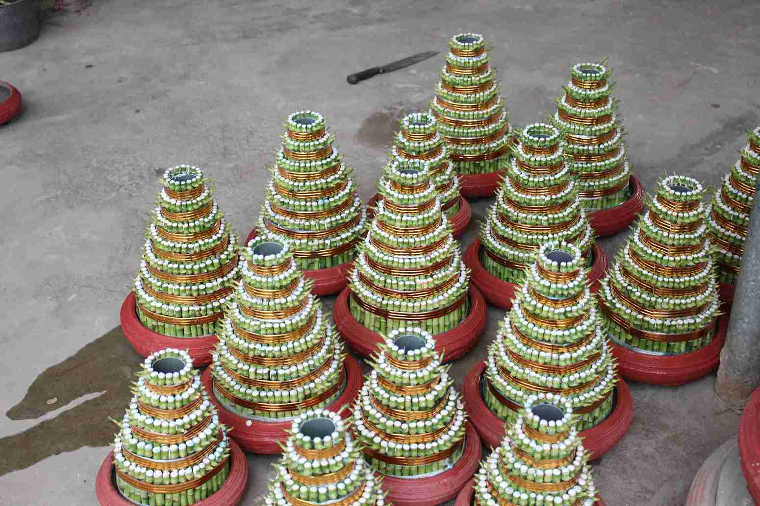 Những chậu phát lộc tại nhà bà Quyên đã được khách đặt mua gần hết.