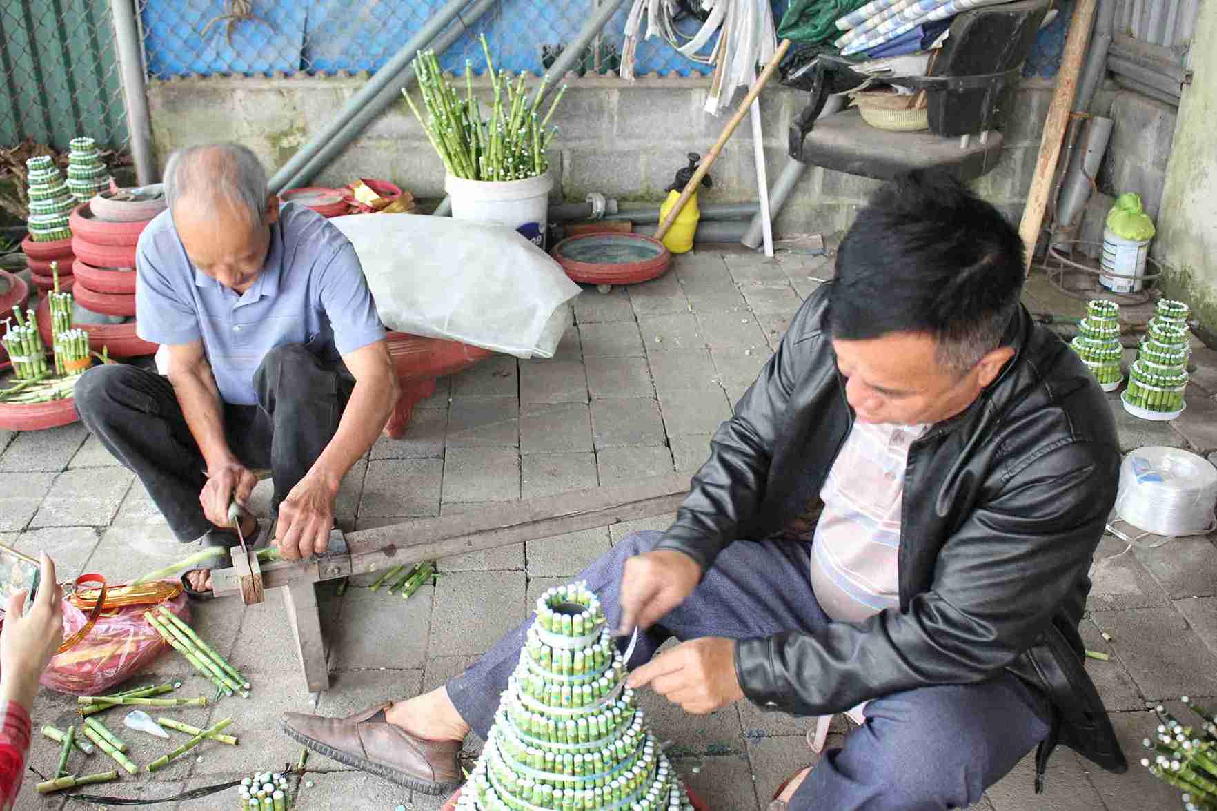 Ông Nguyễn Đăng Nghị cắt tỉa cây phát lộc chuẩn bị giao cho khách buôn dịp Tết.