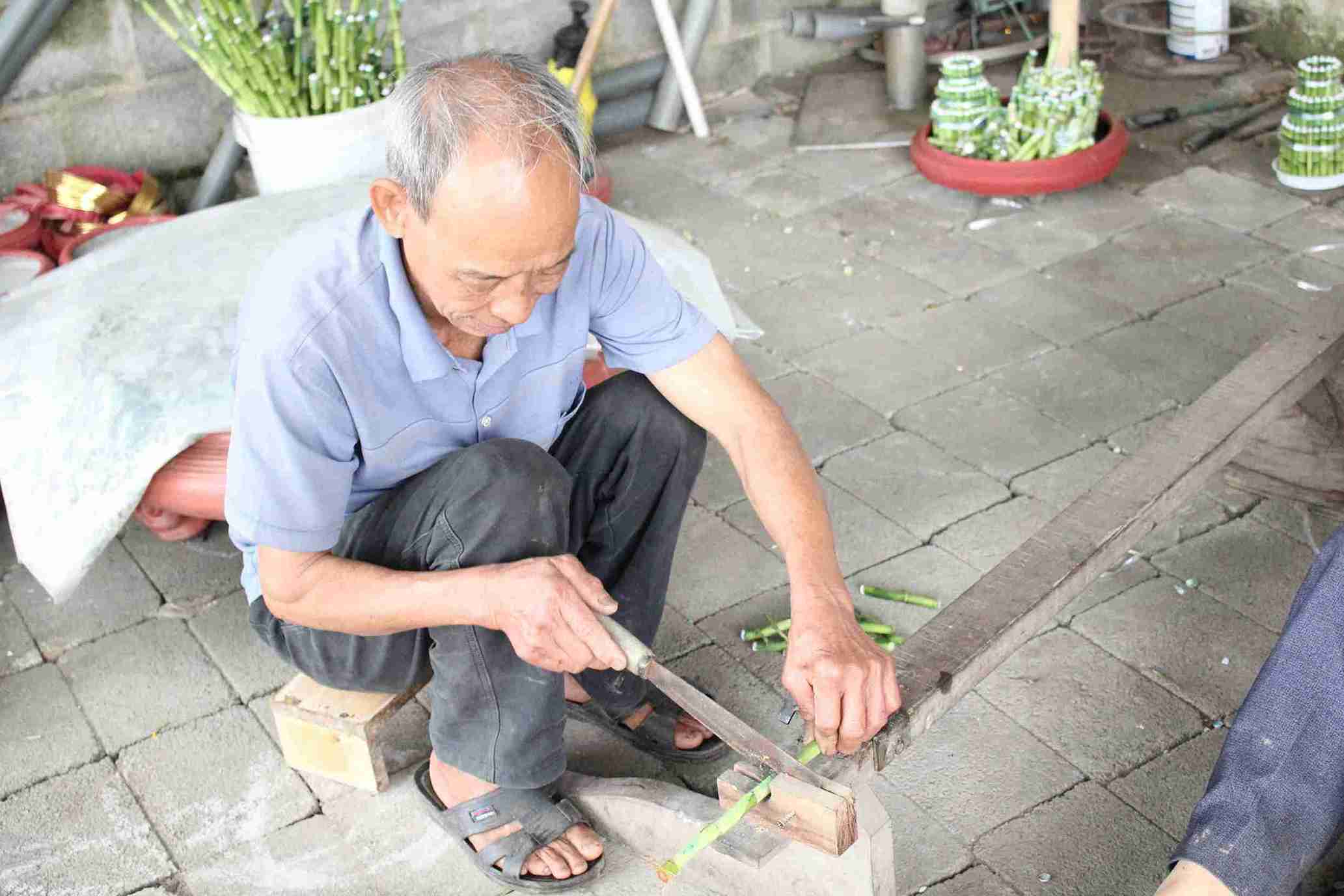 Ông Nguyễn Đăng Nghị cắt tỉa cây phát lộc chuẩn bị giao cho khách buôn dịp Tết.