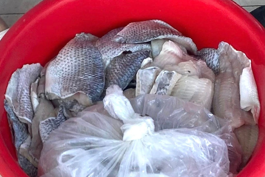 La calidad de las comidas en algunas escuelas recientemente no ha cumplido con las expectativas de los padres, lo que les preocupa.