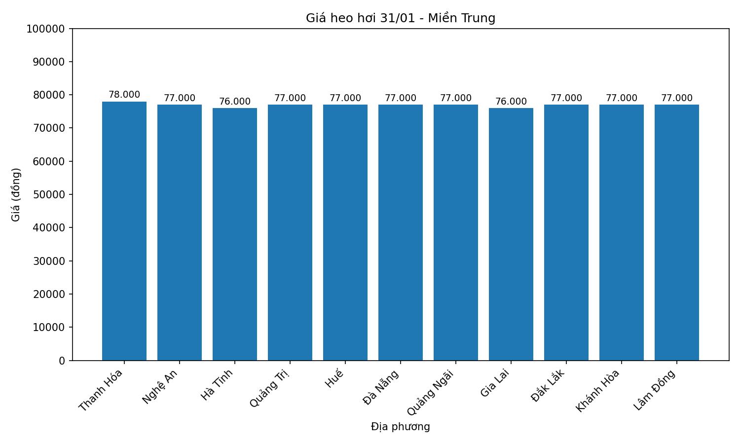 Giá heo hơi hôm nay ở khu vực miền Trung. Đồ họa: Thùy Linh.