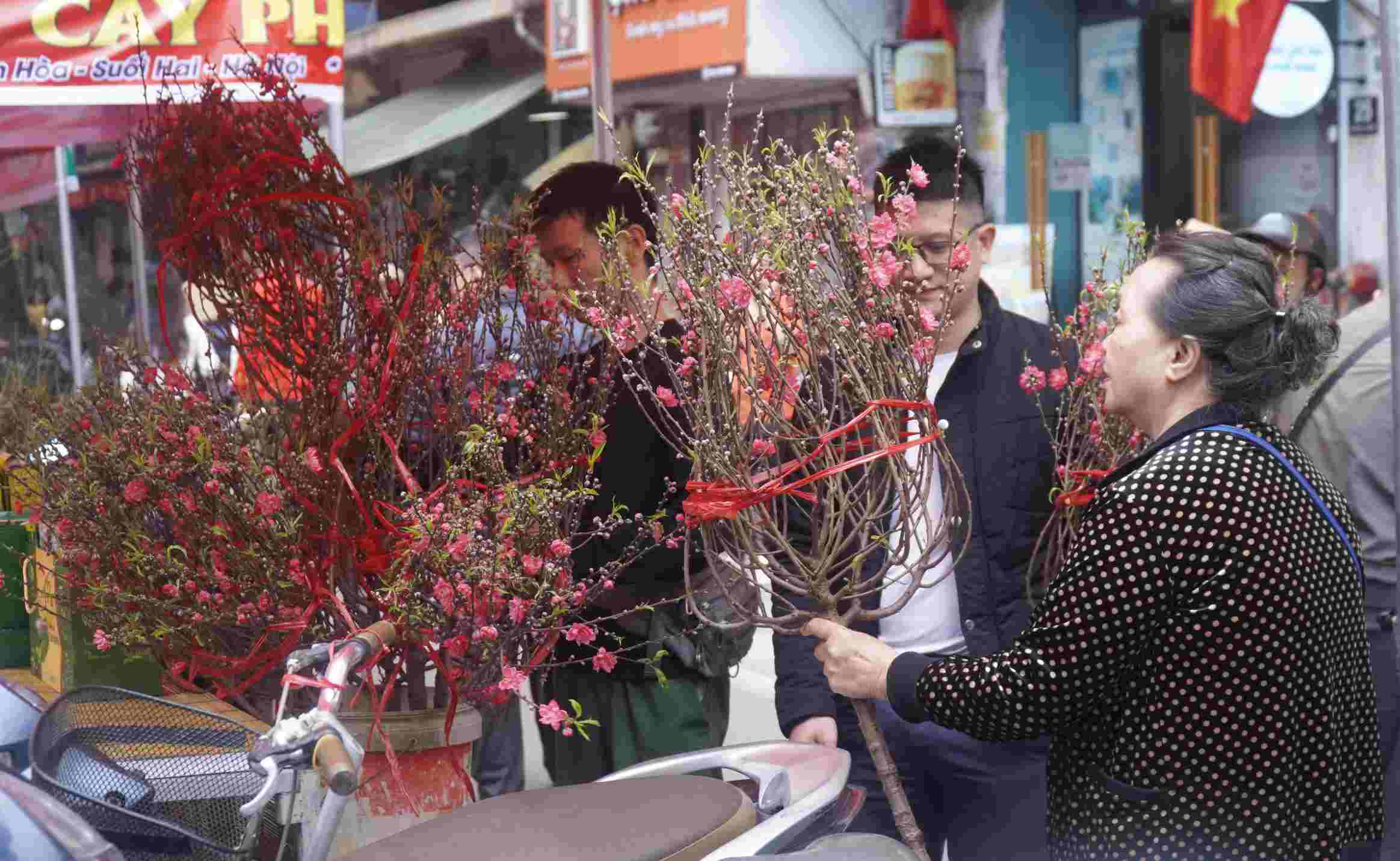 Người dân và du khách dạo bước giữa không gian hội chợ hoa xuân Hàng Lược, thong thả ngắm sắc hoa và cảm nhận nhịp xuân. Ảnh: Minh Vũ