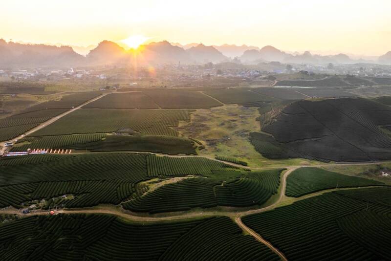 Vietnam Trail Marathon (VTM) 2026 race held in Moc Chau plateau. Photo: Nhat Minh
