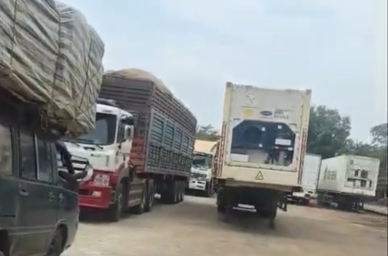 Las mercancías atascadas aún no pueden ser despachadas porque tienen que esperar instrucciones. Foto: Ngoc Thuy