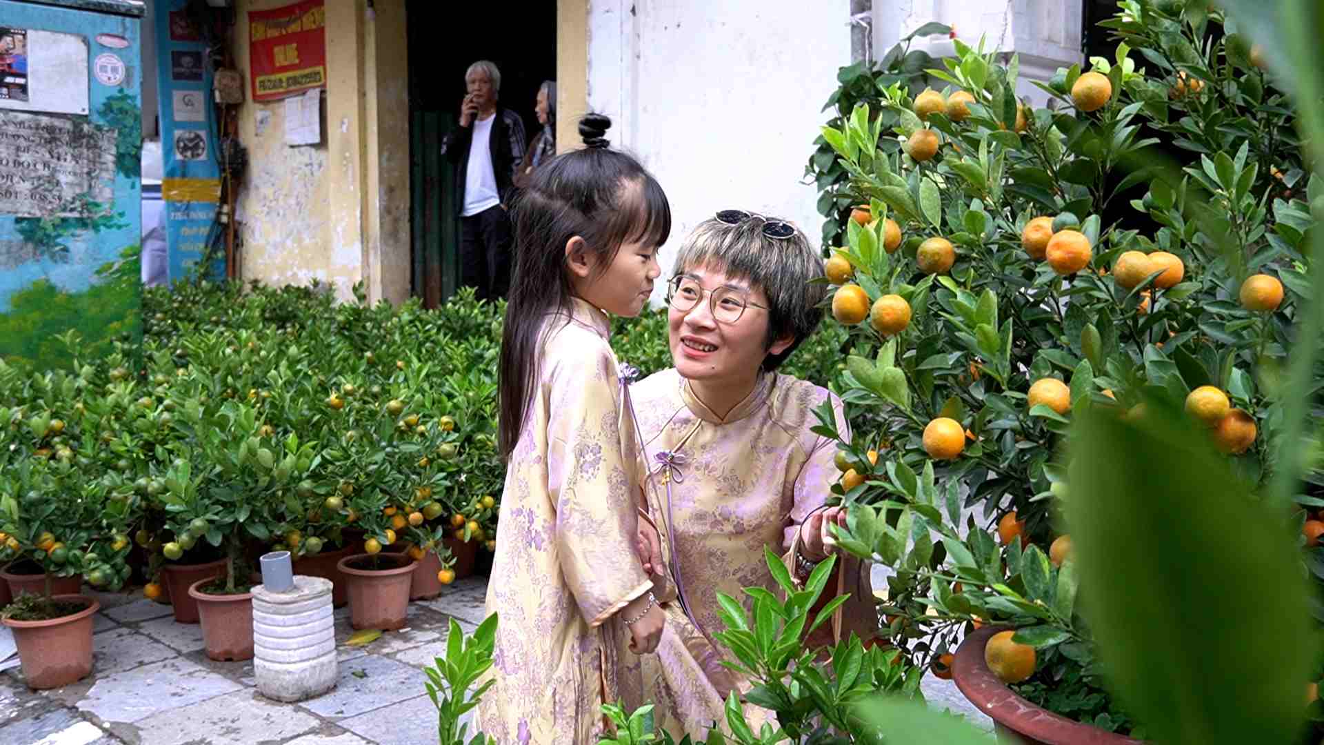 Strolling the Hang Luoc flower market, spring festival Binh Ngo 2026 in Hanoi's Old Quarter.