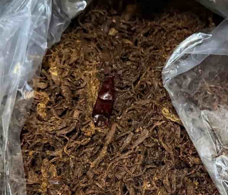 Khô bò chảy nước, ôi thiu có thể bị ngâm tẩm hóa chất độc hại. Ảnh: Phú Lê 