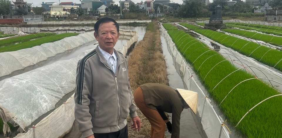 Ông Nguyễn Văn Nhất đứng tại cánh đồng thôn Hạ, xã A Sào. Ảnh: Nhân vật cung cấp