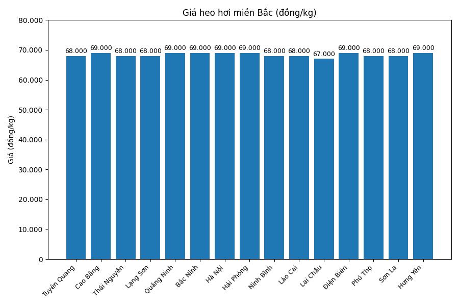 Gia heo hoi hom nay 4.1 tai khu vuc mien Bac. Do hoa: Thuy Linh