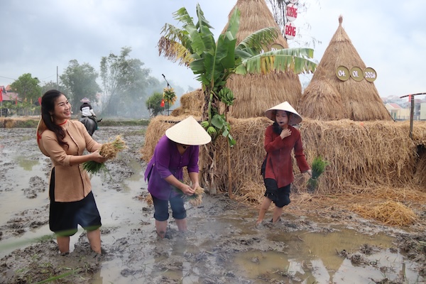 다낭시 호이안동구 인민위원회는 2026년 "밭으로 내려가는 축제"를 개최했습니다. 사진: 응우옌린