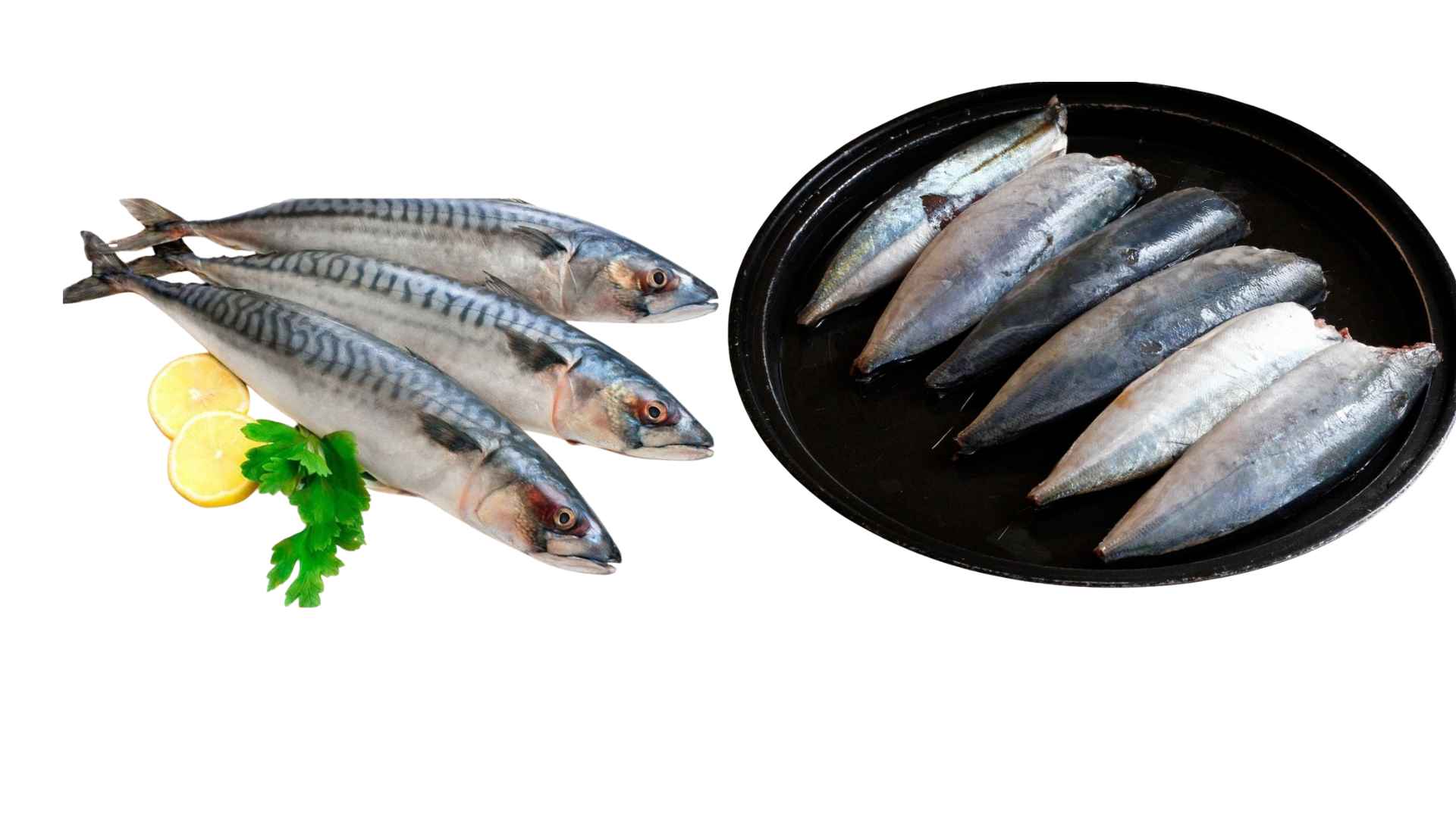 Hemibagrus is rich in omega 3 fatty acids suitable for workers. Graphic photo: Huong Son