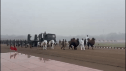 Camels, dogs and eagles participate in Indian parade exercises. Photo: Indian Army