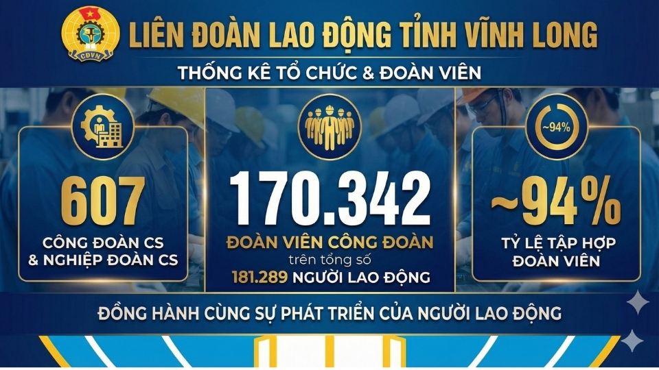 Statistical table of Vinh Long Trade Union on organization and number of union members. Graphics: Hoang Loc