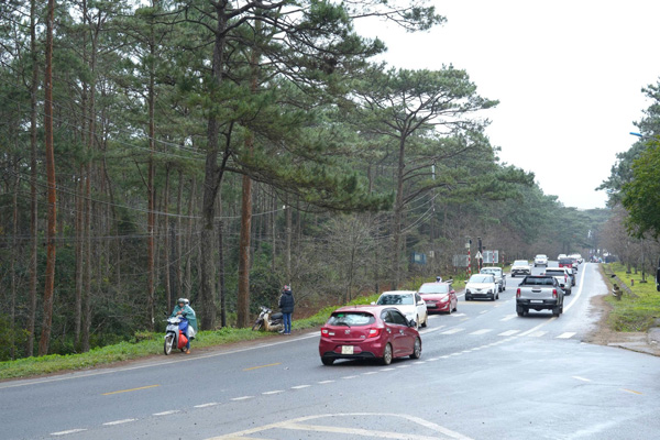 Con duong thong xanh dan vao trung tam xa Mang Den, khu du lich sinh thai quoc gia. Anh: Thang Pham 