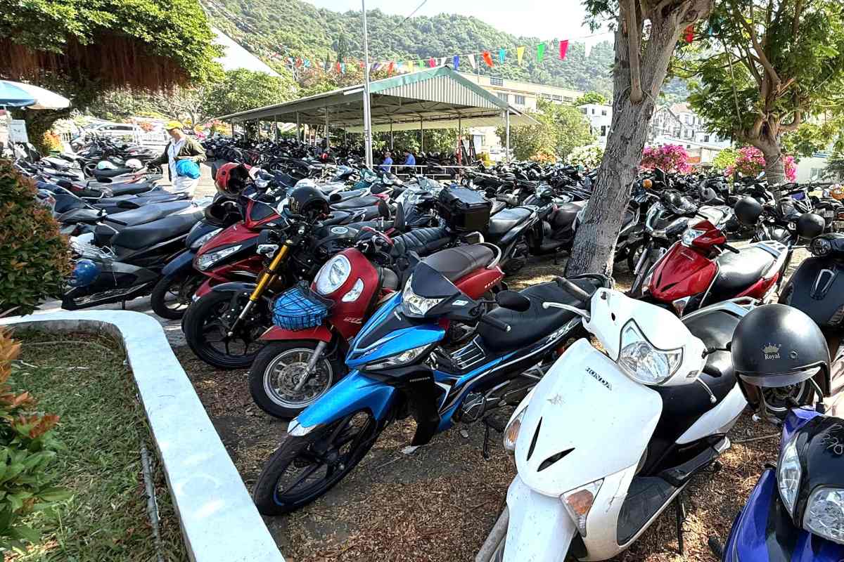 Bai xe cua Den Thanh Duc Me Bai Dau gan kin cho trua 4.1. Anh: Thanh An