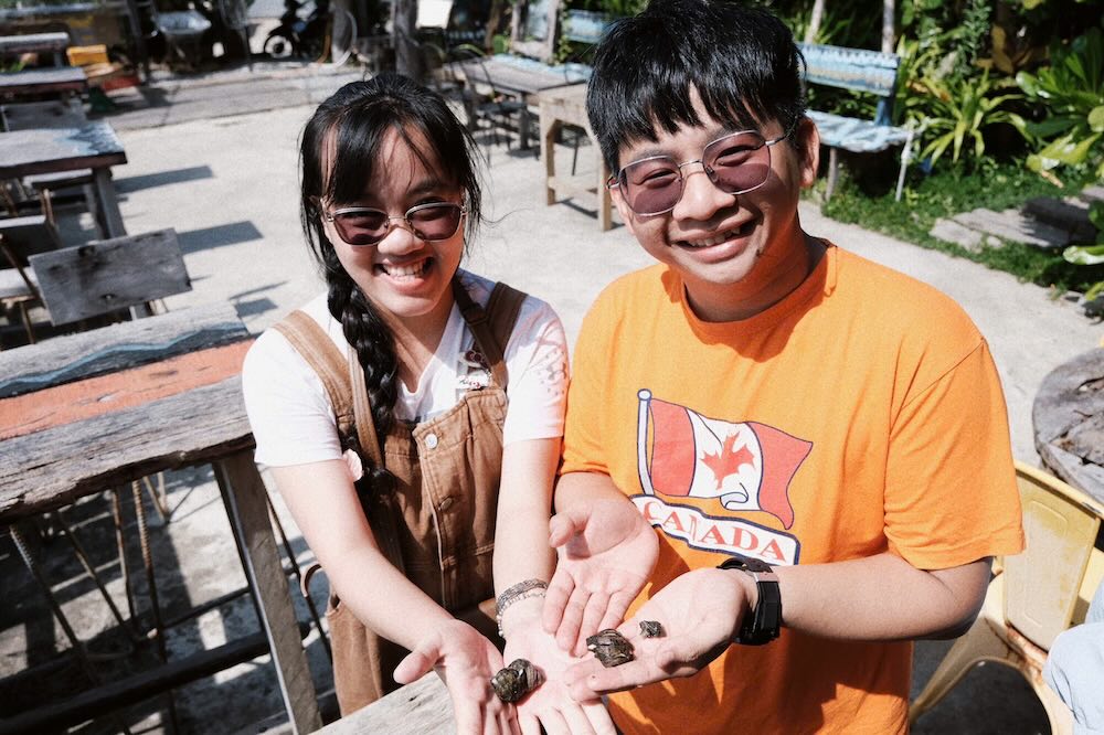 Full New Year holiday, tourists excitedly start working