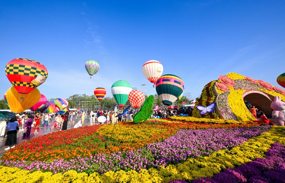 Ruc ro mau hoa kieng tai khu vuc Quang truong Sa Dec - Trung tam cua Festival hoa kieng. Anh: Ban to chuc